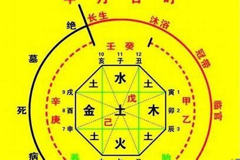 八字 木旺|八字木旺什么意思 (八字中木旺的人身体怎么样)